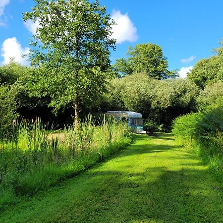 Budget Stay, In Lovely Private Setting With Rustic Charm, Log Burner, Fire Pit, Campers Kitchen & Eco Loo No Bedding Supplied Narberth Exterior photo